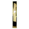 Hoppe Dallas Exterior Back Plate – Polished Brass, No Cylinder Hole