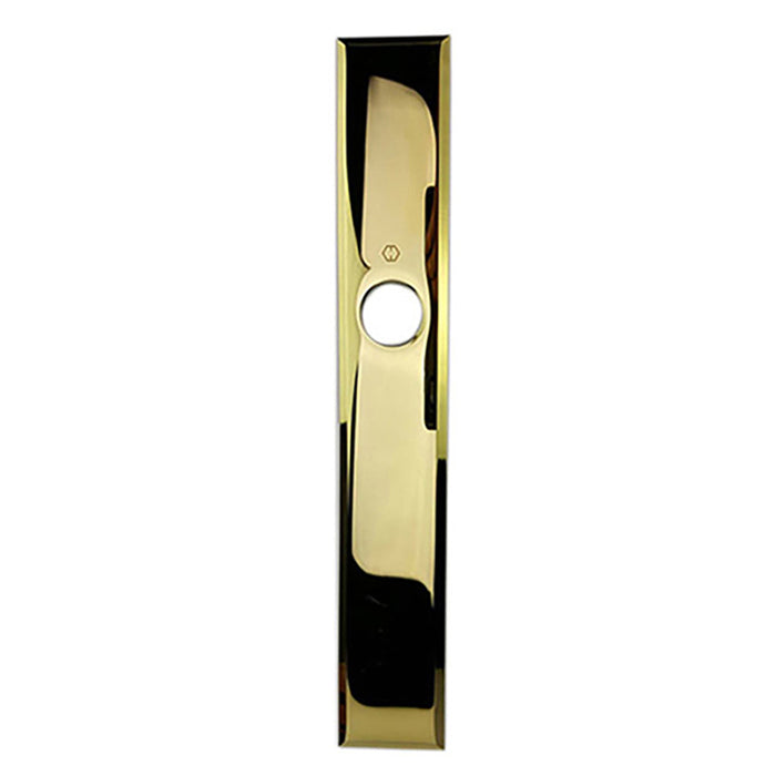 Hoppe Dallas Exterior Back Plate – Polished Brass, No Cylinder Hole