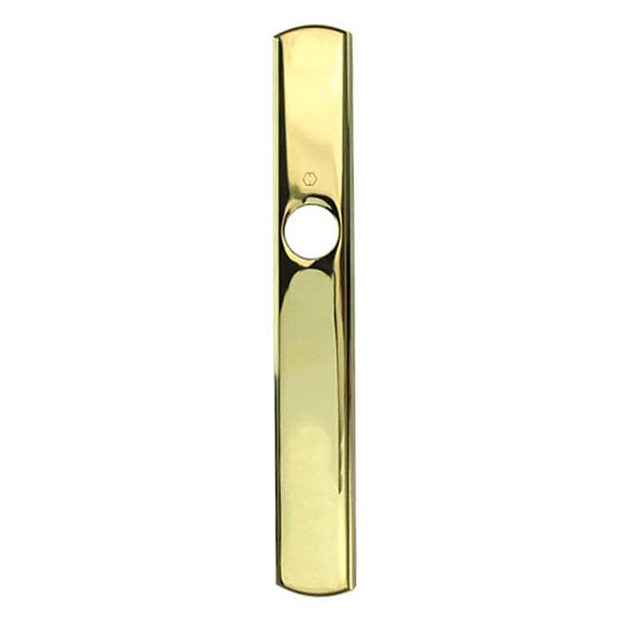 Hoppe Contemporary Exterior Backplate M216N – Resista Brass