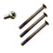 Backplate Screw Pack – M5 x 50mm, Bright Brass