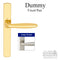 Hoppe Verona Dummy Handleset for Multipoint Doors – Satin Nickel