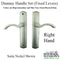Regency Dummy Lever – Right Hand, Arched Plate, 92mm Handle Height